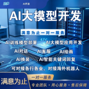 AI人工智能软件大模型开发deepseek应用部署ai绘画API接口定制